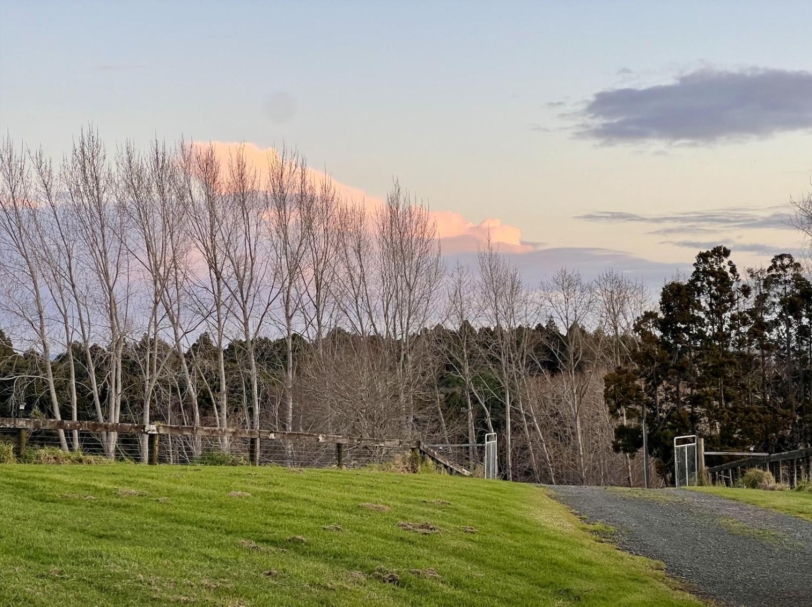 Ranfurly Holiday Home Auckland Exterior foto
